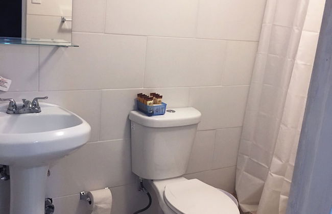 Gladiolas 2102 - Foto 16