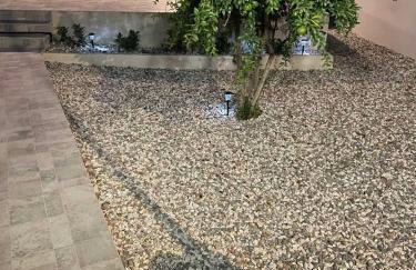 Limone d'oro - Foto 21