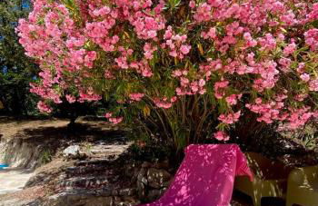 La Bastide Blanche Magnifique villa 5 étoiles 5 chambres et piscine privée sur 6500 m VAR - Foto 55