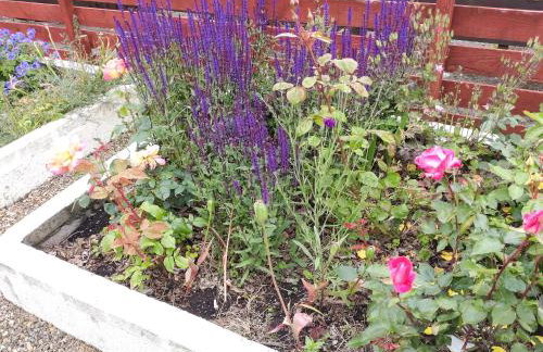 Fiddlers Rest - Foto 15