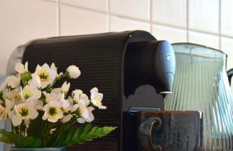 charmanter Altbau in Schleußig mit Balkon - Foto 16