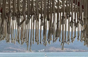 NEPTUNE OASIS Villa - Foto 41