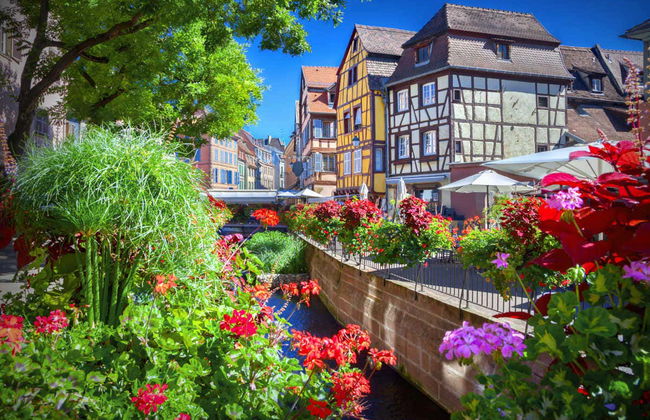 Tour por Alsacia + Castillo Haut-Koenigsbourg - Foto 1