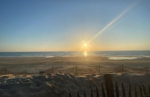 Chalet en bois sur grand parc arboré tout proche de l océan - Foto 19