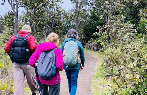 Comfort Nest - Foto 57