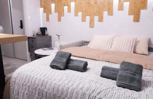 Studio cabine Au Loup Blanc avec vue Mont Blanc - Foto 5