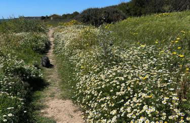 Casa Oristano Mare & Citta' bis - Foto 47