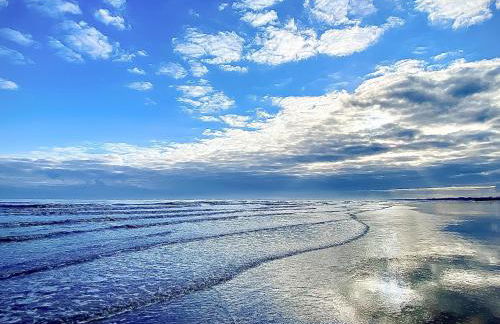 Shirley's Haven - Uk46631 - Foto 10