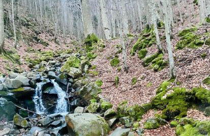 Appartamento Monolocale La mia Casina di Montagna - Foto 33