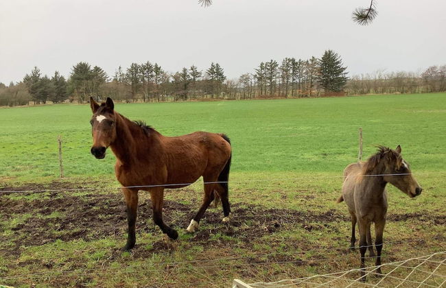 6 Person Holiday Home in Bedsted Thy - Foto 20