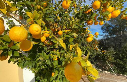 Villa d'Eden domaineleshesperides - Foto 20