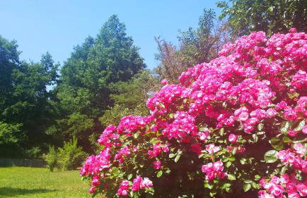 Villa Angelina - Foto 31