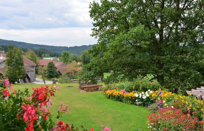 Ferienhaus mit Sauna in Skigebietsnahe - Photo 24