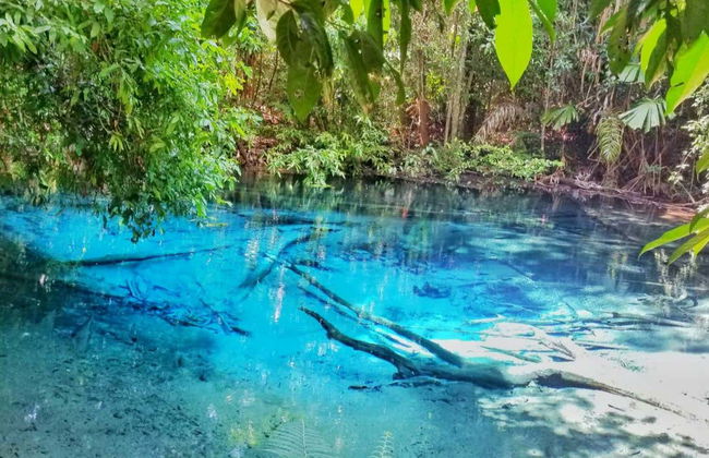 Tiger Cave Temple, Emerald Pool & Krabi Hot Springs - Foto 8