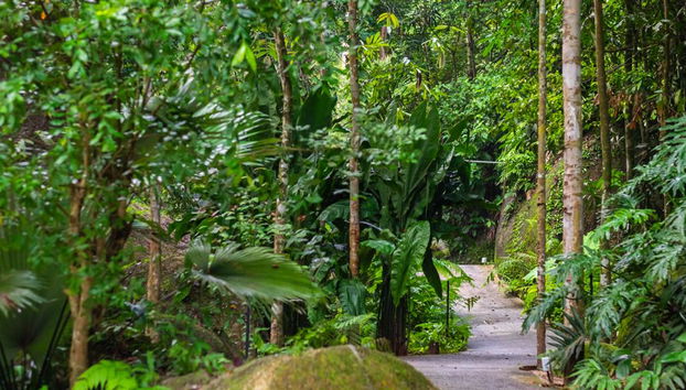 Half Day Botanical Garden And Butterfly Farm - Foto 4