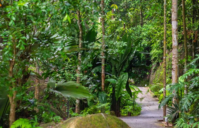 Half Day Botanical Garden And Butterfly Farm - Foto 4