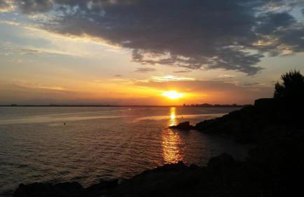 FONOLL MARÍ - ROSES FAR - Photo 11