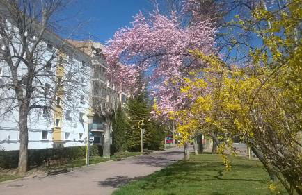 Apartamento Isabel - Foto 34