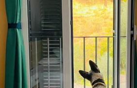 Casa Rural Una Ventana a la Montaña - Foto 27