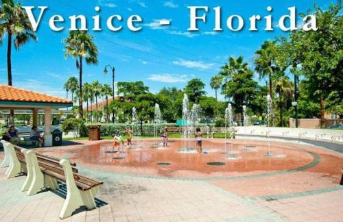 Great shape after Milton -Gorgeous Pool! - os - Photo 35