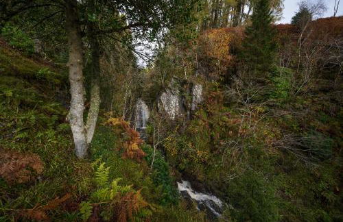 Oystercatcher - Converted luxury steading - Photo 23