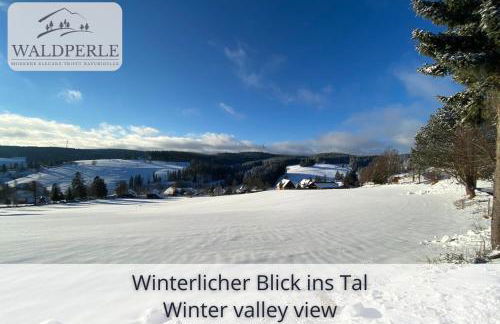 Exklusives 5-Sterne Apartment Waldperle mit Indoor-Pool, Sauna, top Lage und Ausblick in die Natur, Hunde willkommen - Foto 43