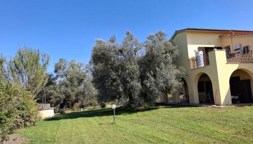 Il Casale di Dorothea - Foto 3, Garden, Garden view