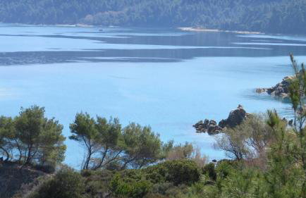 Spacious Villa close to an amazing Sithonia beach - Foto 49