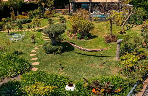 OurMadeira - Garden Paradise - Foto 28