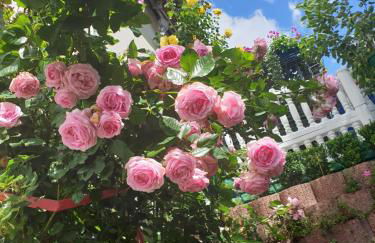 Ferienhaus Haus Herzog - Foto 22