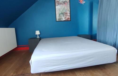 7 min du circuit des 24 h du Mans et 10 min de la Gare - LA BERTINIERE - Foto 10