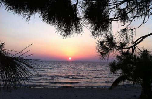 Marina & Luka - Foto 41