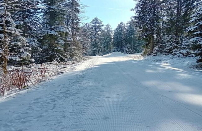 Ferienwohnung mit Balkon im Schwarzwald - Foto 31