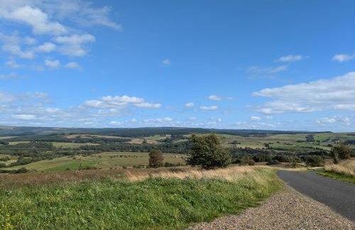 Pet Friendly - Lodge at Riverview Holiday Park - Foto 34