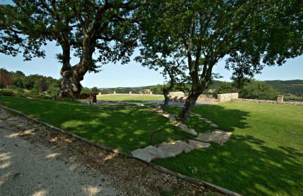 Sasseta Alta - Foto 37