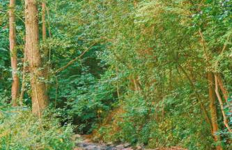 Tulip apartment with your private entrance - Foto 15