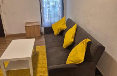APT 2 Acollidor al Centre històric de Vic APTGARBI - Foto 16