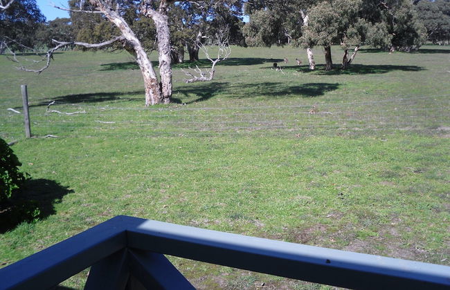 Wenton Farm Holiday Cottages - Photo 19