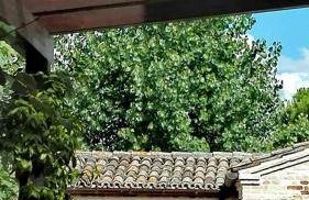 Silos Torrenova - Foto 45