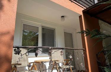 Aparthotel Tannenhof - Foto 41