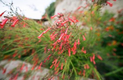 Villa Russelia - Foto 56