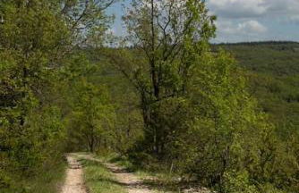 Les Trigones du Causse -Maison atypique avec Piscine Privée - Foto 48