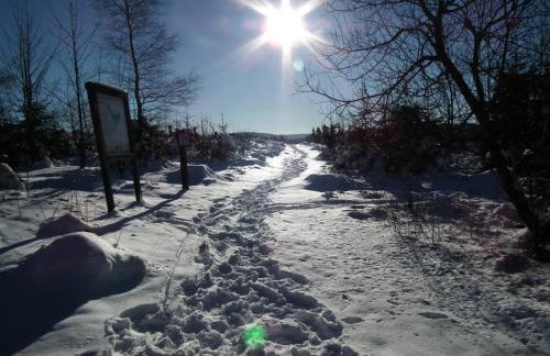 Fachwerkliebe Villa Mia - Foto 45