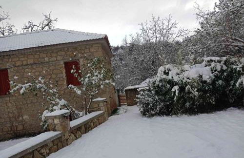 Βίλα Αρμονία Ορεινή Κορινθία - Foto 59