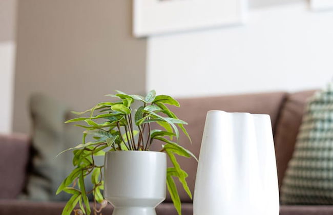 Beachfront 2-bedroom Stay in Voula - Photo 41