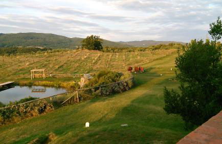 Fattoria San Paolo Agriturismo - Foto 20