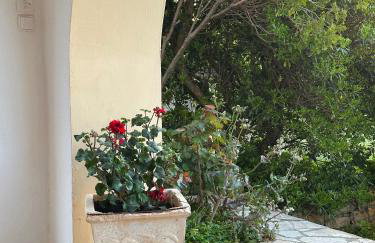 Green Parrot Apartments - Foto 52