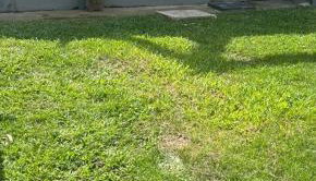 Espaço inteiro Completo Conceição de Jacareí - Foto 4