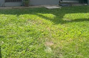 Espaço inteiro Completo Conceição de Jacareí - Foto 2