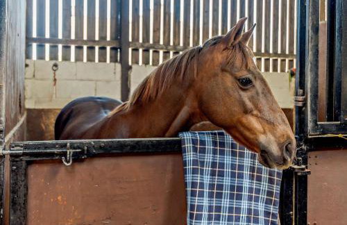 2 Bed in Holyhead oc-81515 - Foto 15